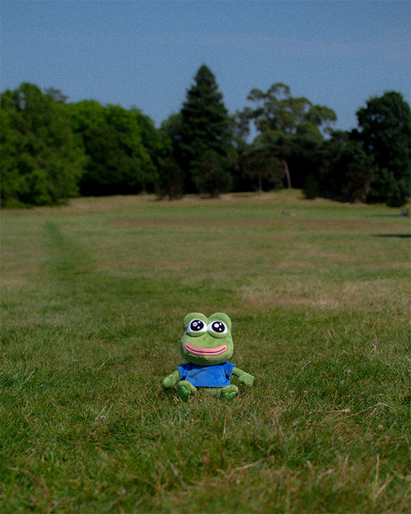 Plush frog toy sitting on a grassy field with trees in the background