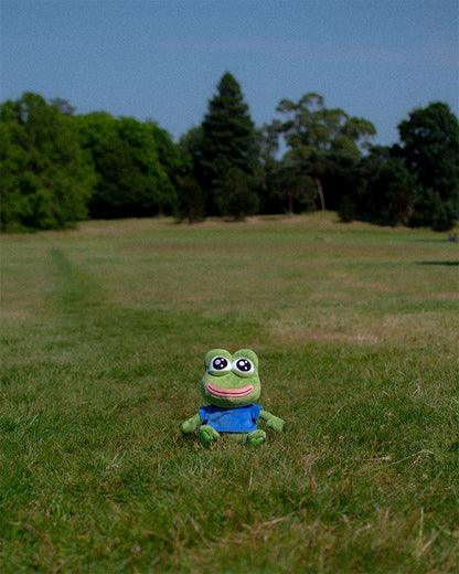 Plush frog toy sitting on a grassy field with trees in the background