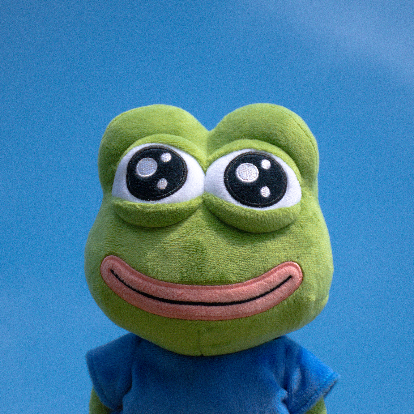 Green plush frog toy with a blue shirt against a blue background