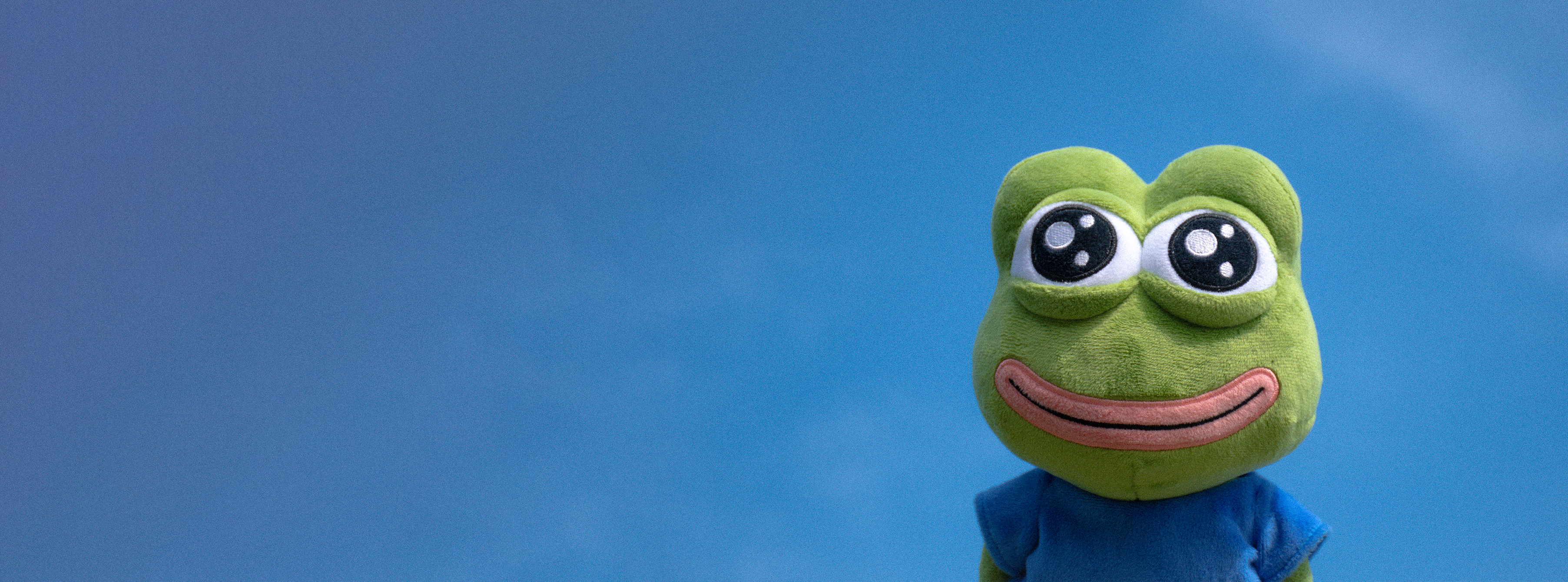 Green plush frog toy with a blue shirt against a blue sky background