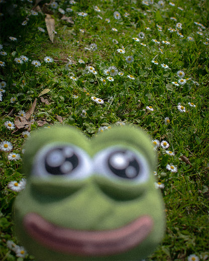 Green frog toy on a grassy background with flowers